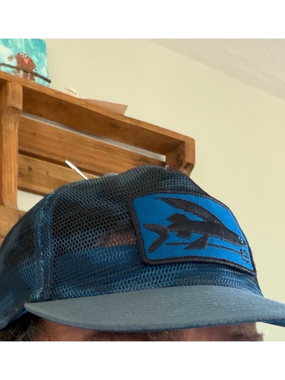 Patagonia Mesh Trucker Hat - Blue - Picture 7 of 8